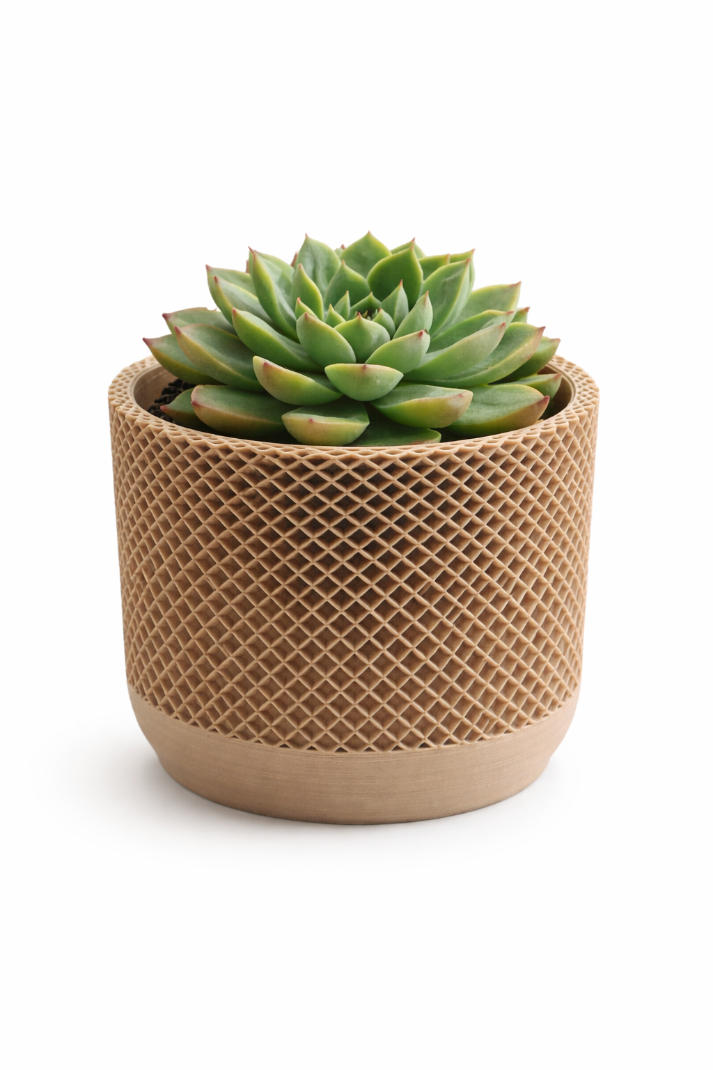 🌿 STRIA – Vase Design Imprimé en 3D